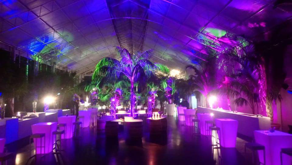 Location de décorations lumineuses pour votre mariage