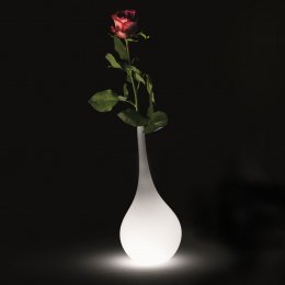 Location Lampe Ampoule Lumineuse