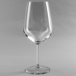 Location Verre Oenologique 49cl Allegra