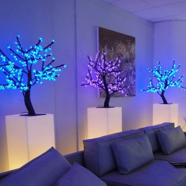 Location cerisier lumineux 80 cm