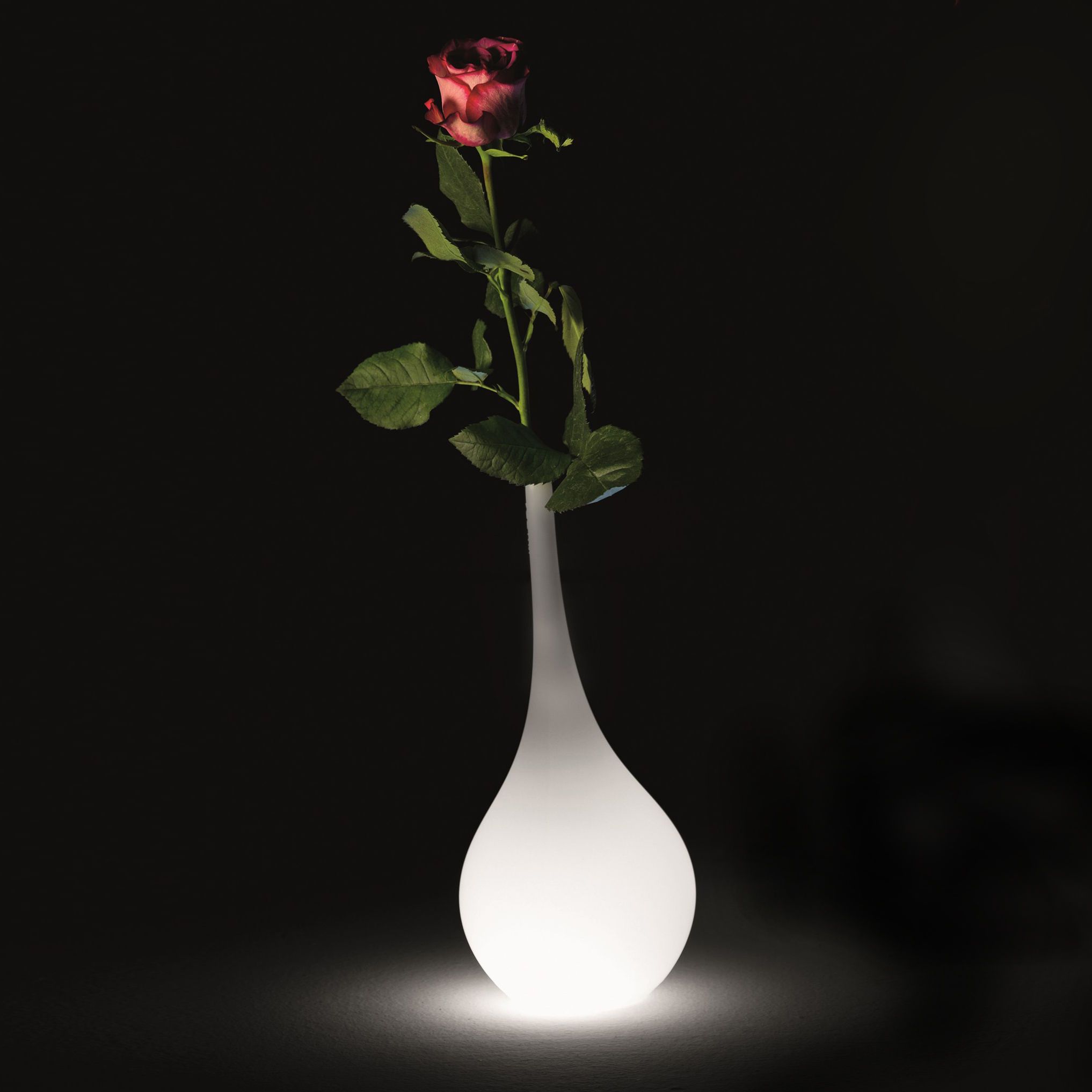 Location Lampe Ampoule Lumineuse