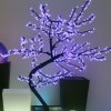 Location Cerisier Lumineux 200cm