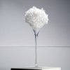 Coupe Martini boule de plumes